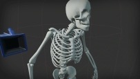 Skeletronix Procedural Skeleton Mesh Generation 虚幻4.9-4.20骨骼