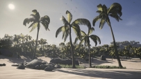 Tropical Island Environment 虚幻4.26-4.27