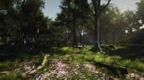 3D-Scanned, Photo-Realistic Forest Landscape Asset Pack Vol. 1 v1.0 虚幻5.0